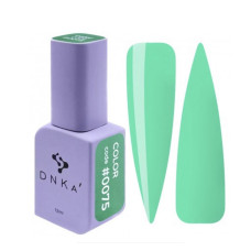 Gel lak DNKA color #075