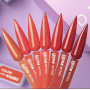 Gel lak DNKA color #080
