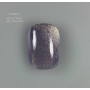 Touch gel lak 3D Cat Eye 6, 9 ml