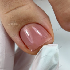 Touch One Step Gel Polish 12, 9 ml